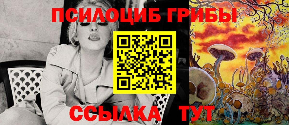 продажа наркотиков  Вход с VPN  Медногорск  Галлюциногенные грибы мухоморы 